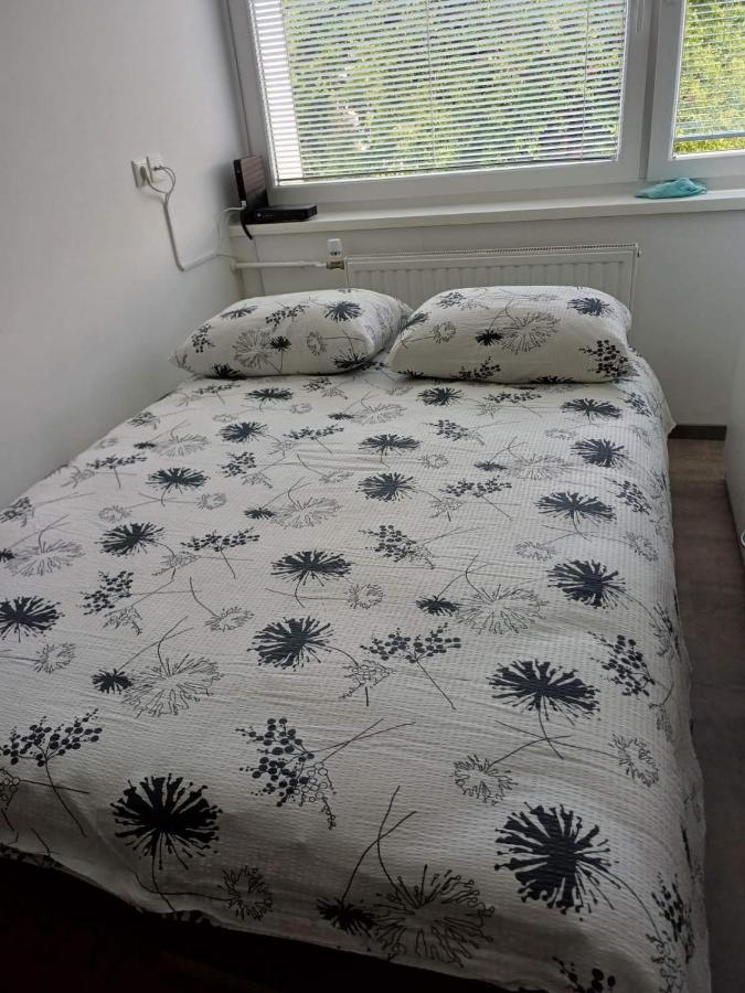 Apartma Nadja Maribor Eksteriør billede