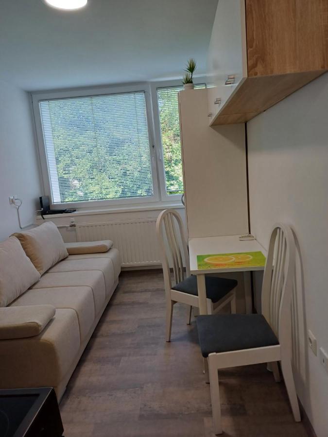 Apartma Nadja Maribor Eksteriør billede